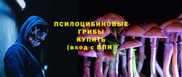 прущие крисы Белоозёрский